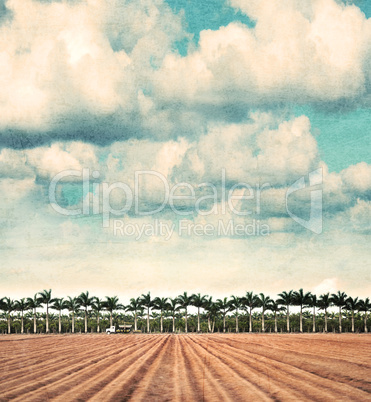 Farmland