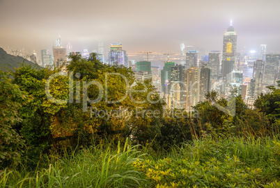 Hong Kong night skyline with vegetation