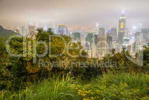 Hong Kong night skyline with vegetation