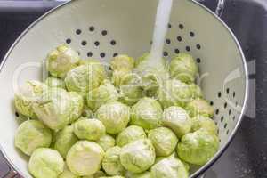 Washing Brussels sprouts