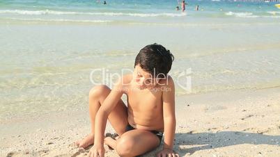 Little boy find seashells at beach