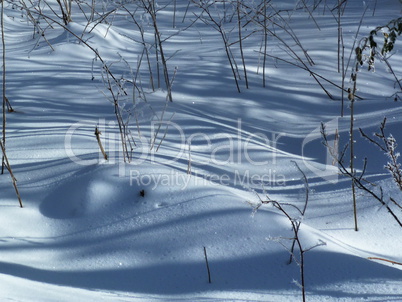 frischer Schnee