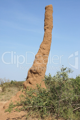 Termitenbau, Äthiopien, Afrika