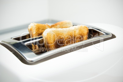 Toaster with bread slices on white background
