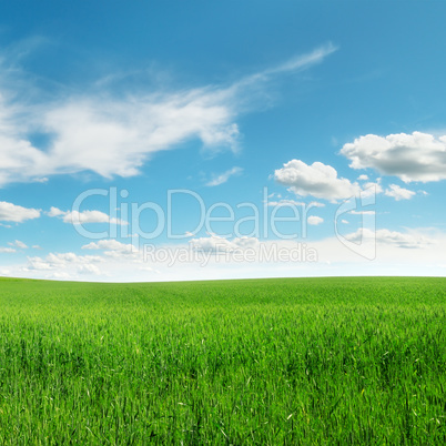 meadow and beautiful blue sky