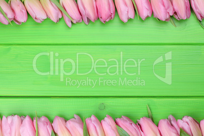 Rahmen aus Tulpen Blumen zum Frühling oder Muttertag mit Textfr