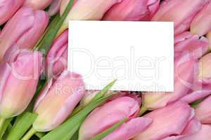 Tulpen Blumen im Frühling oder Muttertag mit leerer Karte und T
