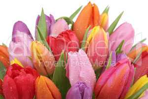Blumenstrauß mit Tulpen im Frühling, Geburtstag oder Muttertag