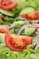 Grüner Salat mit Tomaten, Zwiebeln, Gurken und Textfreiraum