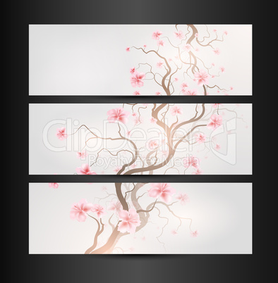 Design Sakura