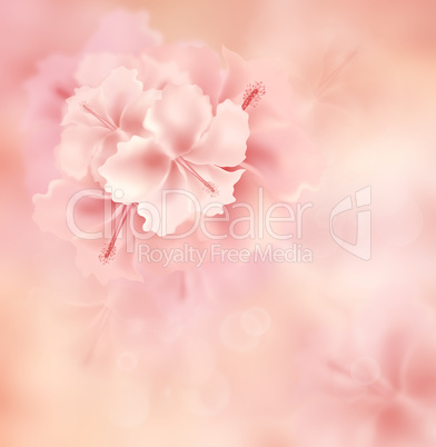 Floral Background