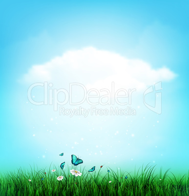 Summer, Cloud, Sky, Grass, Flower And Butterflies