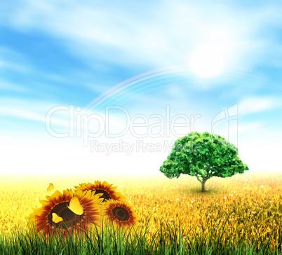 Summer, Field, Sky, Sun, Rainbow, Tree, Grass, Sunflowers