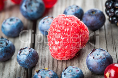 Blueberries background