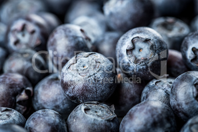 Blueberries background