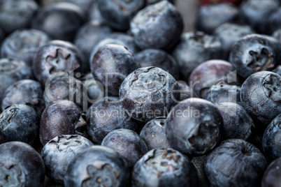 Blueberries background