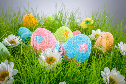 Decorated easter eggs Decorated easter eggs