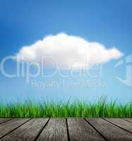 Wooden Floor, Grass And Cloud