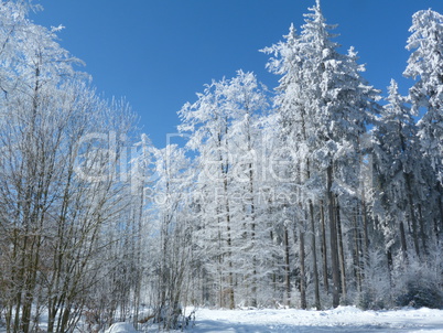 Winterlandschaft