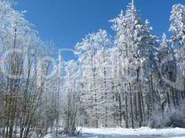 Winterlandschaft