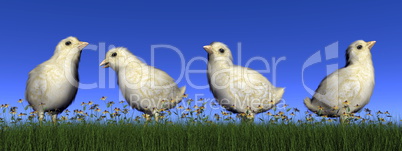 Chicks - 3D render