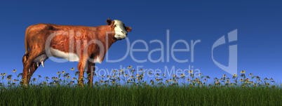 Hereford cow - 3D render