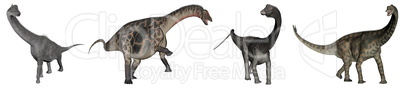 Jurassic sauropod dinosaurs - 3D render