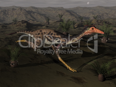 Mononykus dinosaur by night - 3D render