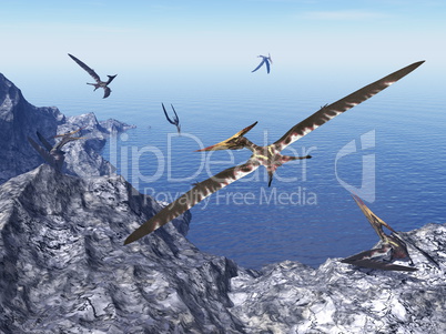 Pteranodon birds - 3D render