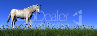 White horse - 3D render