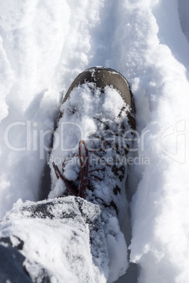 Schuh im Schnee