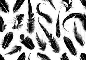Seamless feathers