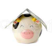piggy bank with dollars isolated on a white background
