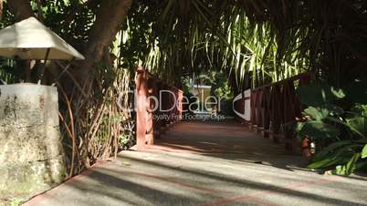 Crossing small wooden bridge among the palm branches