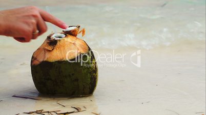 Coconut by the sea with female hand putting a straw there