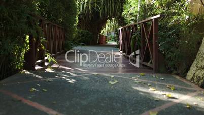 Crossing wooden bridge among the palm branches