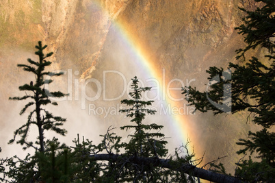 Yellowstone National Park, USA