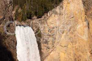 Yellowstone National Park, USA