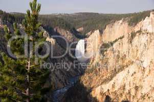 Yellowstone National Park, USA