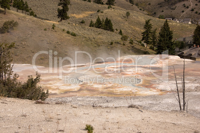 Yellowstone National Park, USA