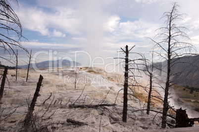 Yellowstone National Park, USA