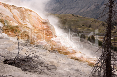 Yellowstone National Park, USA