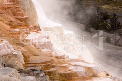 Yellowstone National Park, USA