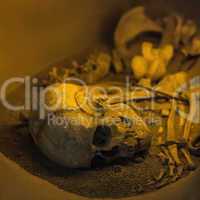 Ancient human skull bone and skeleton