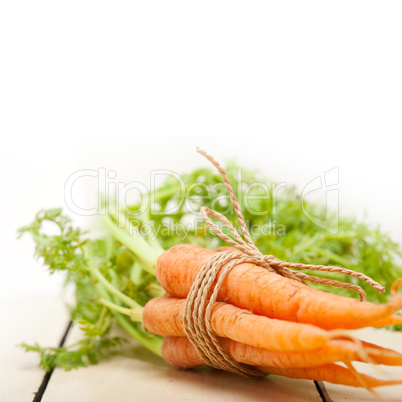 baby carrots bunch tied with rope