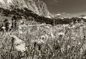 Stunning alpin landscape in summer season, Italian Dolomites