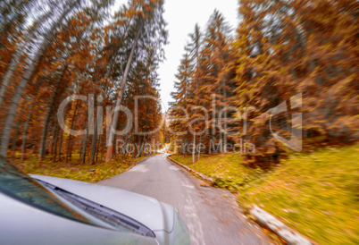 Blurred image of fast moving car through forest road