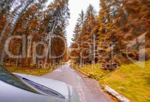 Blurred image of fast moving car through forest road