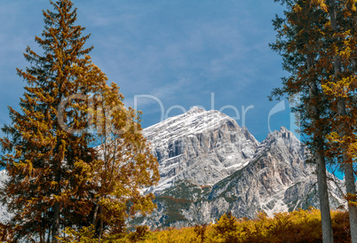 Trees and mountains against blue sky