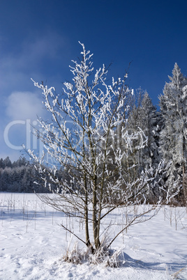 Eiszeit in Mühlberg, Bayern, Deutschland